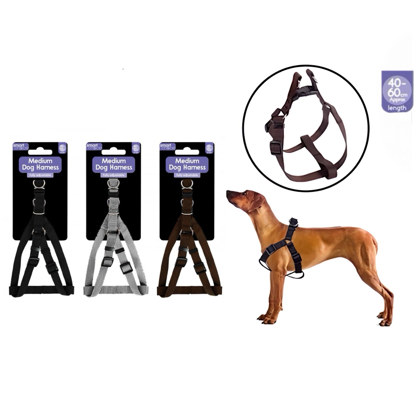 SMART CHOICE Dog harness MEDIUM 44CM-55CM Assorted Colours